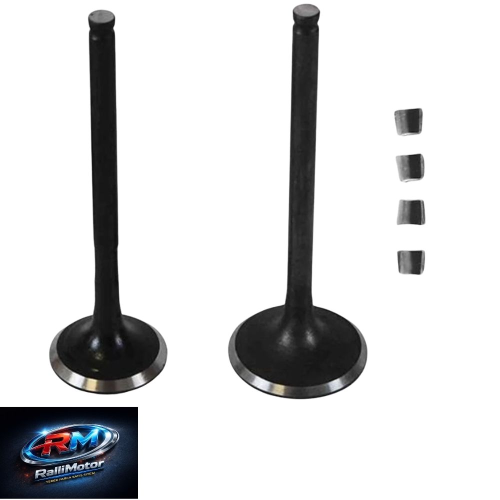 SUPAP (SUBAP) DQ MARKA (SET OEM) CUP 100 / 110